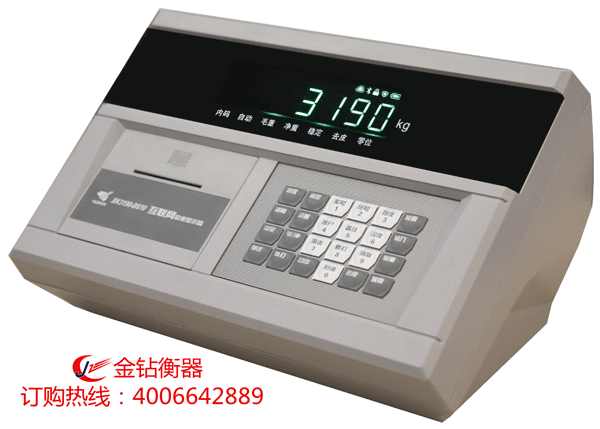 物聯(lián)網(wǎng)儀表XK3190-DS10